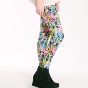 Agnes & Dora Stripes and Succulents S/M Leggings